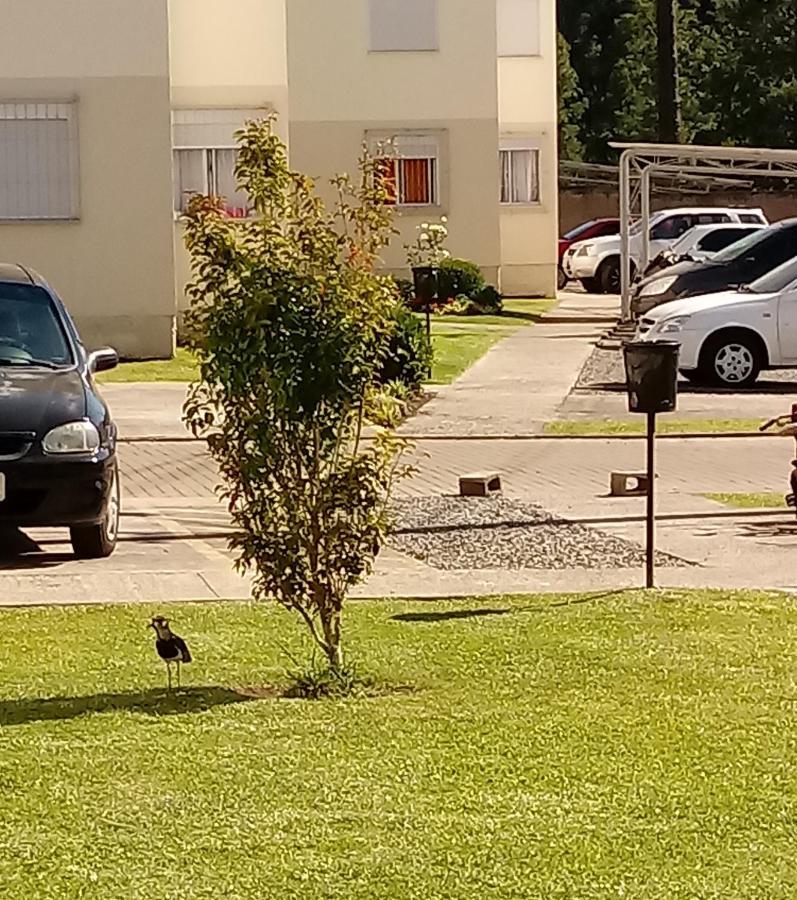 Apartamento Canela Bela Kültér fotó
